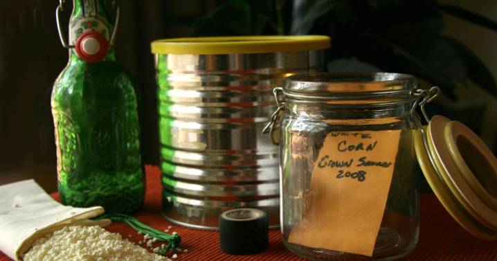 Why are hummingbird numbers declining?