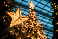 Navidad en Cozumel: Anuncian dos eventos gratuitos; conoce las fechas y horarios