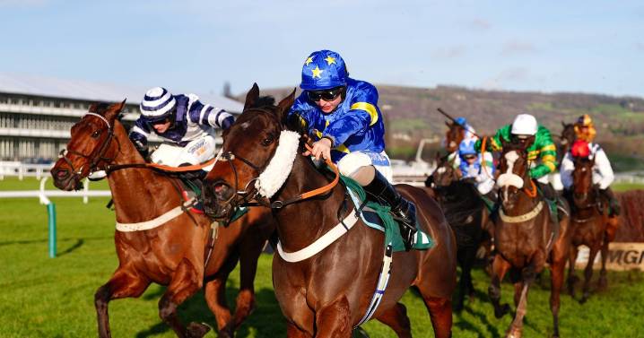 Game Glengouly claims December Gold Cup at Cheltenham