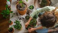 The Worst Way To Use Old Potting Soil (Don't Make This Mistake)