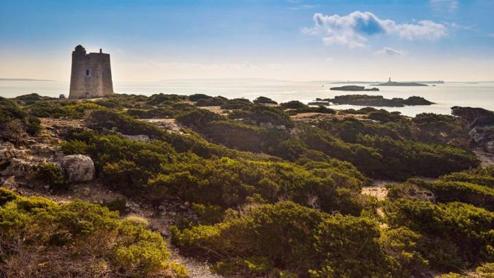 I'm an expat in Ibiza - this is when it's best for quiet hikes and cosy terraces