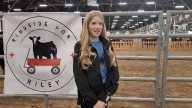 Showing cattle for a cause: Ringside for Riley raises more than $15,000