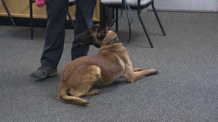 Scranton Police Department mourns loss of K