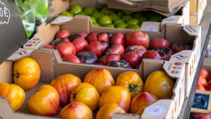 La UAL crea un método preciso y sostenible para detectar pesticidas en alimentos