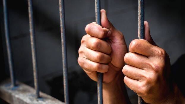 Charges and sentences in actress assault case