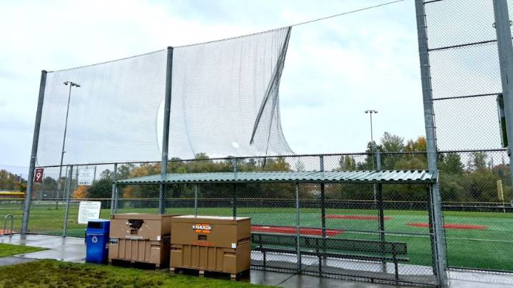 Rantz: Seattle charges Little League $120,000 permit ‘for fields that are in absolute, complete disrepair’