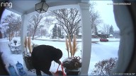 Family gets home as porch pirate is stealing their packages
