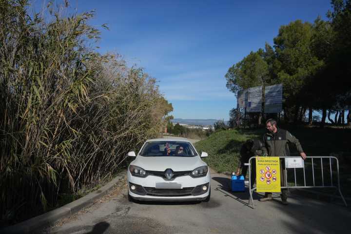 Giro sobre el origen de la peste porcina: pudo salir de un laboratorio