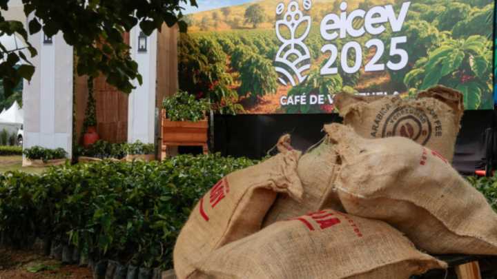 Exportación de café se disparó un 500 % en comparación con 2024
