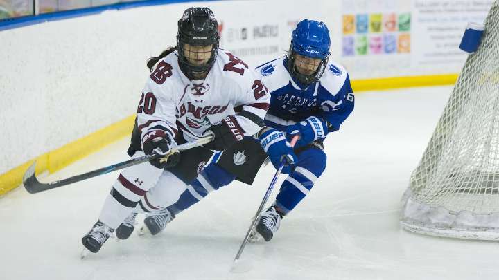N.J. girls hockey preview, 2025-26: Returning All