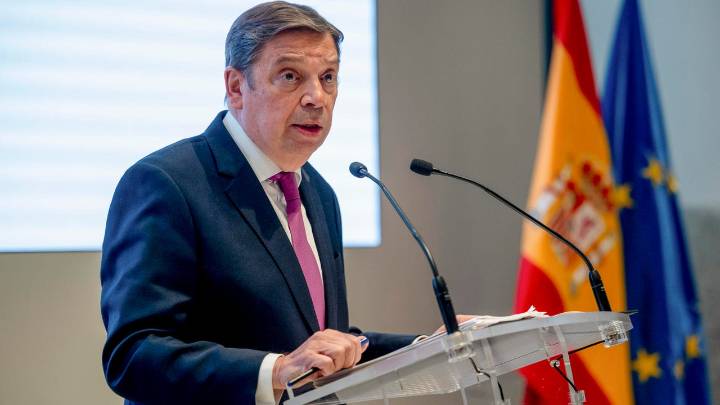 Planas llama a la calma ante el foco de peste porcina que podría provenir de un bocadillo o "elemento de alimentación humana"