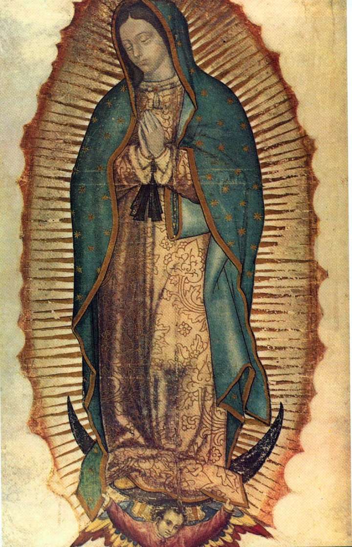 ¿Qué revelan? El significado real de los elementos que hay en la imagen de la Virgen de Guadal...