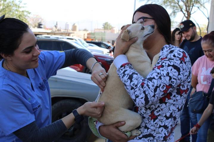 Servicios gratuitos para perros y gatos llevará Municipio a Riberas de Sacramento