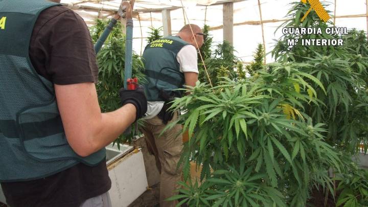 Operación policial contra la marihuana en varios barrios de Almería