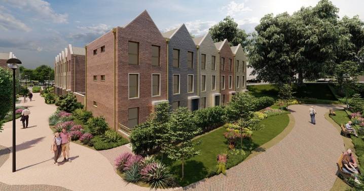 ‘Never mind the trees and the design code