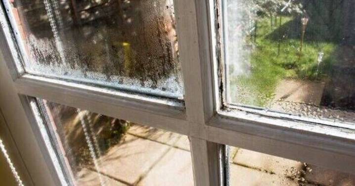 Stop window condensation with expert's 'old school' trick