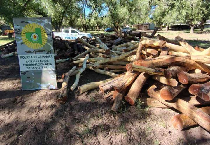 Victorica: secuestran un cargamento de 400 postes trasladados sin permisos