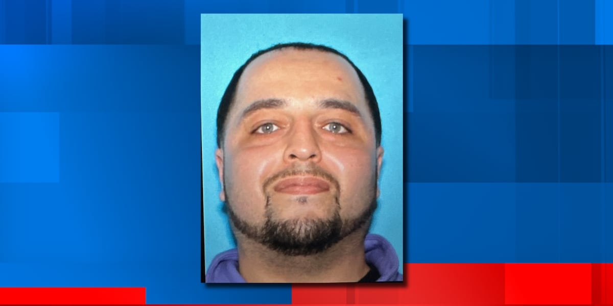 Police seek person of interest in Albion stabbing