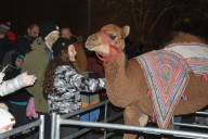 Hoover spices up 2025 Christmas tree lighting with live nativity