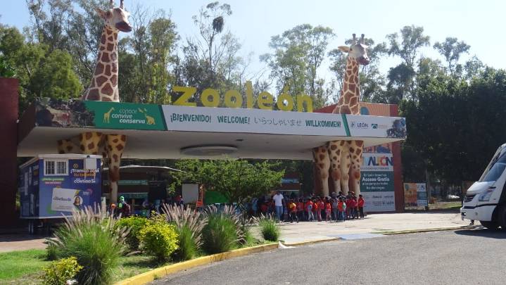 Secretaría de Seguridad realiza diagnóstico de vigilancia en Zoo León