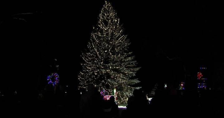 Wellsville holds second annual Christmas Tree lighting ceremony