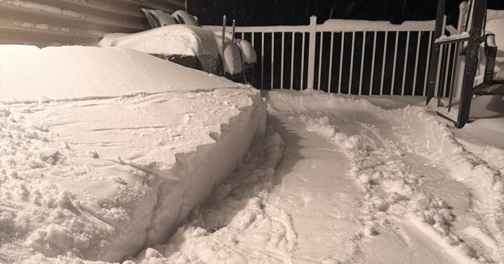 How much snow did Minnesota get during latest storm? See totals from Twin Cities and across the state.