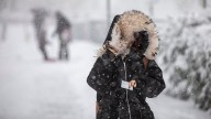 Parts of northern Alberta slated to see upwards of 30 cm of snow by morning