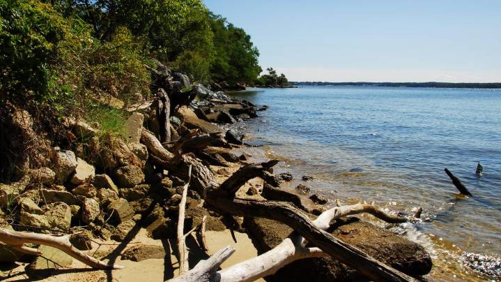 Chesapeake Executive Council approves revised Chesapeake Bay Watershed Agreement