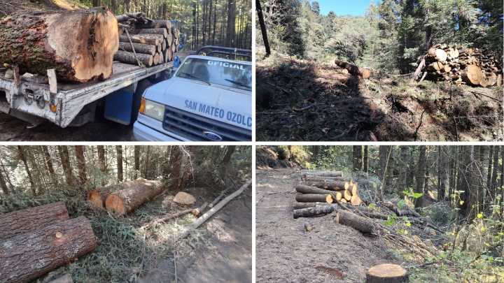 Familia Aizpuru amenaza al pueblo de Ozolco con cortar el agua si no avalan tala en el Izta