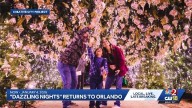 Dazzling Nights returns to Orlando with a bigger, better and brighter adventure