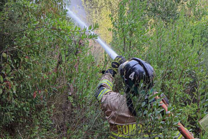 Decretan alerta roja para comuna de la Región de la Araucanía por incendio forestal