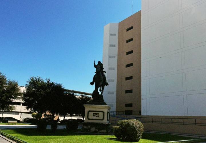 Martes soleado; con una temperatura mínima de 5 grados centígrados