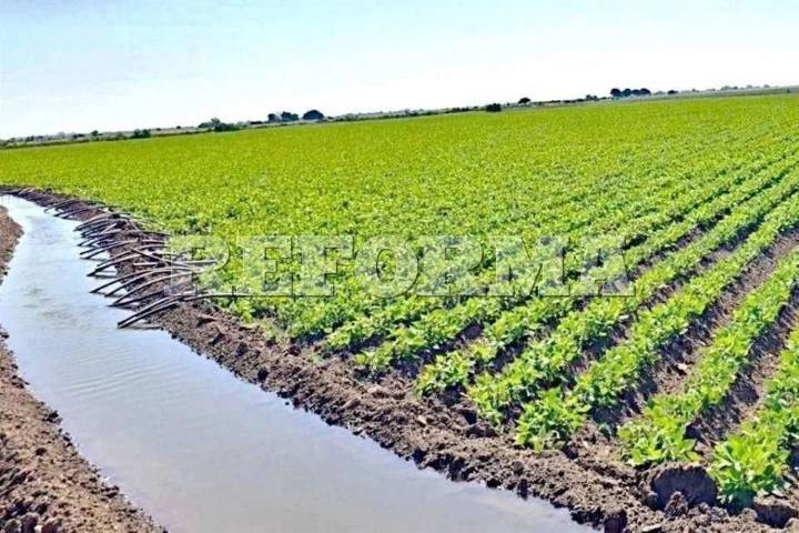 Logra agro que parte de sus demandas  entren en Ley de Aguas