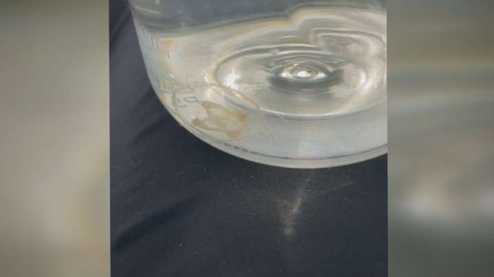 Rare freshwater jellyfish spotted in Richfield lake, Minnesota DNR confirms