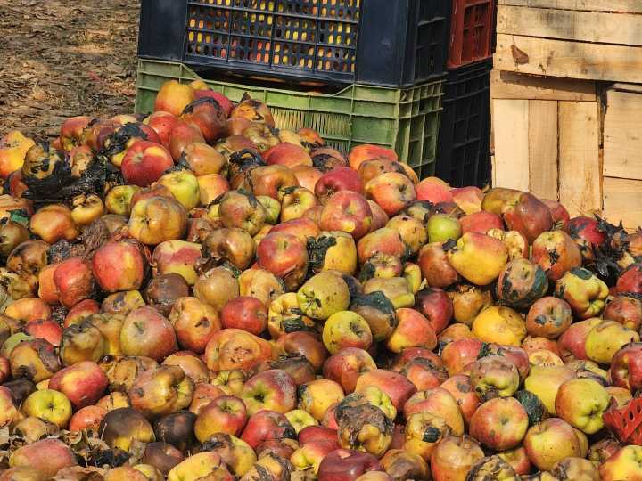 *Fire Damages Hundreds of Apple Crates in Tulran Shopian*