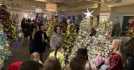 Sea Festival of Trees finishes another magical run