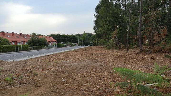 La Fegamp no acepta el plan de Medio Rural para limpiar las fajas secundarias