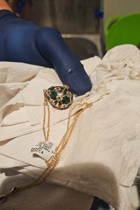 Police recover a swallowed Fabergé pendant after a 6-day wait for it to reappear
