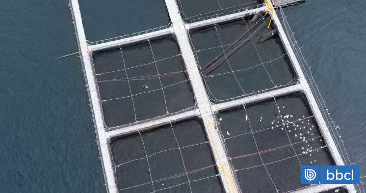 Empresa a cargo de salmonera en río San Pedro solicita dejar sin efecto paralización de obras