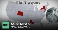 New Jersey identified as a flu hotspot by CDC as cases spike
