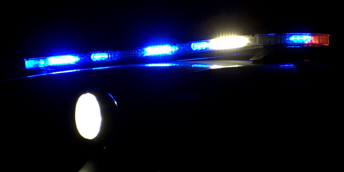 27-year-old woman dies after car veers off road, hits tree in Stratford