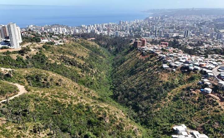 Valparaíso suma nuevo humedal urbano: Kan Kan ahora cuenta con protección oficial