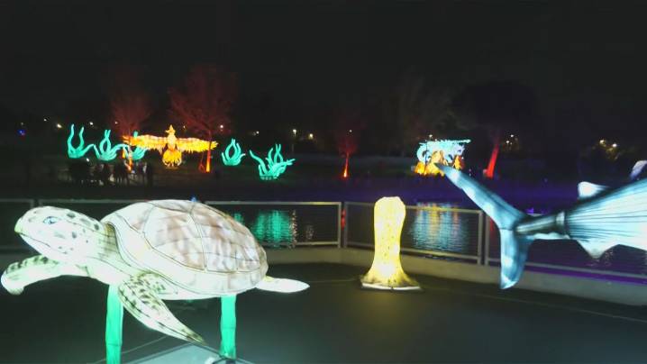 Getafe se llena de fauna y brillo con ‘Brilla Madrid Zoo’, una experiencia con más de 100 figuras luminosas