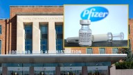 FDA Says Pfizer Vaccine Is Harmless To Humans, COVID