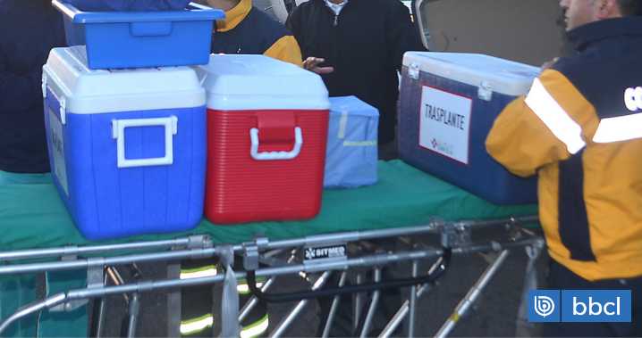 Órgano perdido por negligencia: Armada y clubes aéreos aseguran haber estado disponibles para traslado