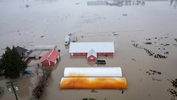 IN PHOTOS | Atmospheric river brings flooding to B.C.'s Fraser Valley