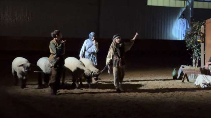 Live animals bring the Nativity story to life in Horace