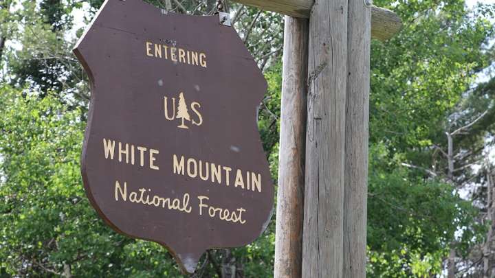 Former White Mountains trail director to plead guilty to fraud charges