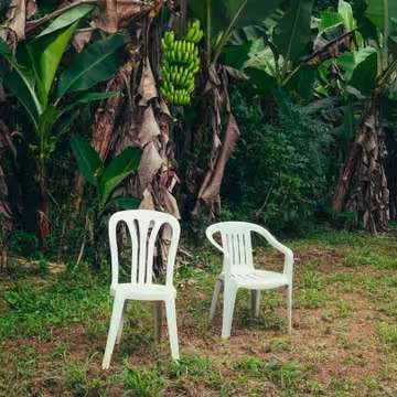 Bad Bunny lidera lista de los mejores discos del año de Rolling Stone