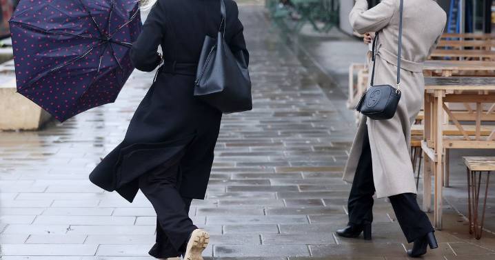 Storm Bram weather warnings as Met Office urges Brits to prepare for 90mph winds